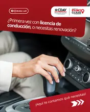 Licencias de conducción 1